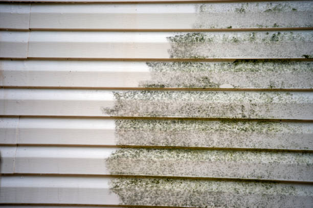 Siding Removal and Disposal in Livingston, TX